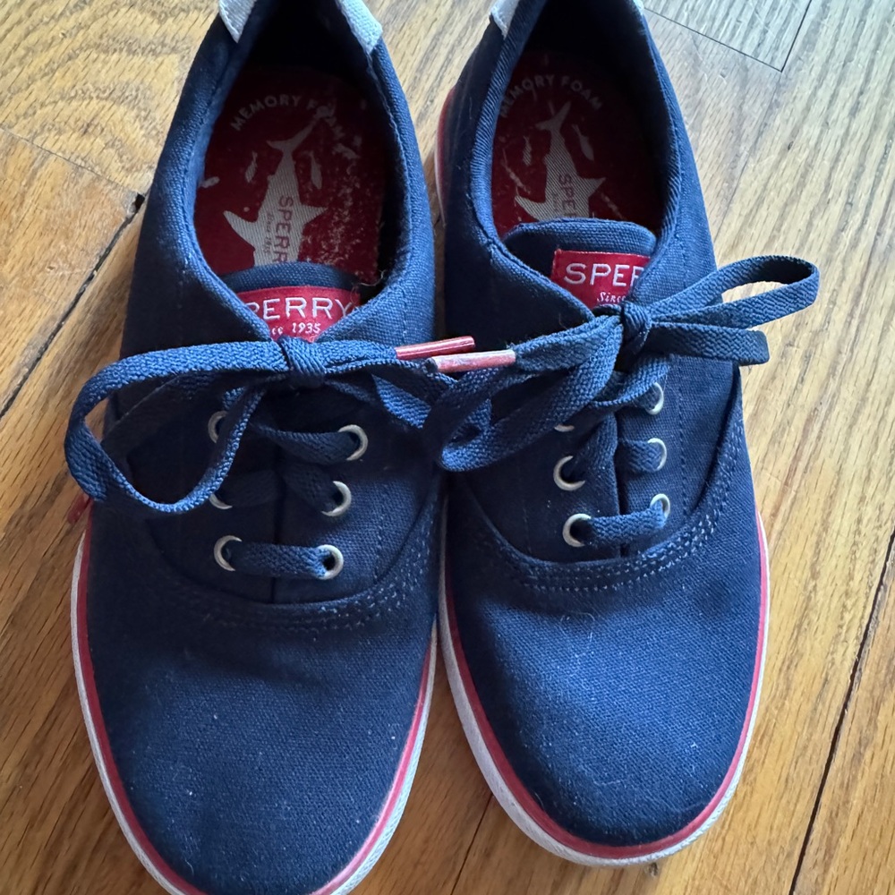Sperry Navy Canvas Sneakers